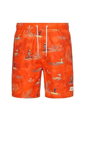 SHORTS in . Size M, S, XL/1X - Scotch & Soda - Modalova