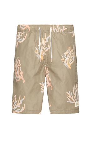 Long Length Swim Short in . Taglia M, S, XL/1X - Scotch & Soda - Modalova