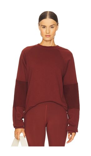 Wren Sweatshirt in . Size M, S, XL, XS - STRUT-THIS - Modalova