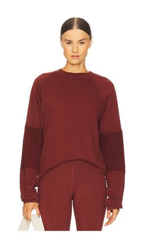 Wren Sweatshirt in . Taglia M, S, XL, XS - STRUT-THIS - Modalova