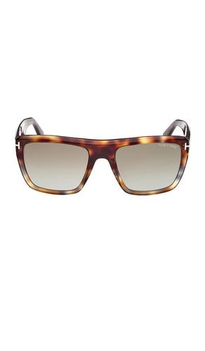 Alberto Sunglasses in - TOM FORD - Modalova