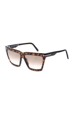 TOM FORD Eden Sunglasses in Brown - TOM FORD - Modalova