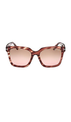 TOM FORD Selby Sunglasses in Brown - TOM FORD - Modalova