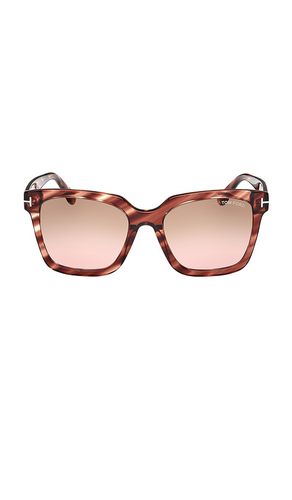 Gafas de sol selby en color marrón talla all en & - . Talla all - TOM FORD - Modalova