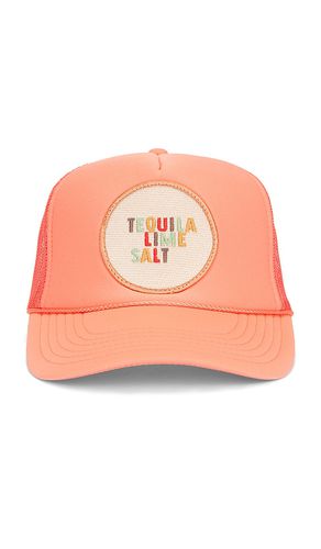 Tequila Lime Salt Hat in - Friday Feelin - Modalova