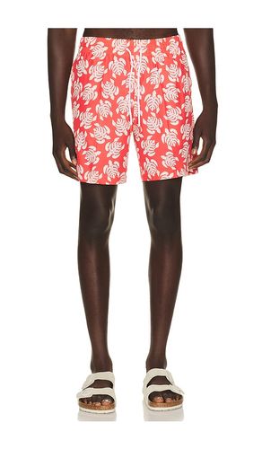 Sano 6.5 Swim Short in . Size S. Also in M, L, XL/1X - Trunks Surf & Swim Co. - Modalova