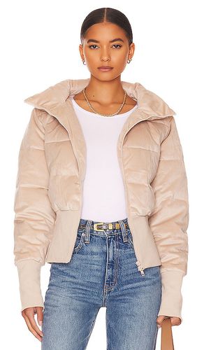 New Amsterdam Jacket in . Size XS - Unreal Fur - Modalova