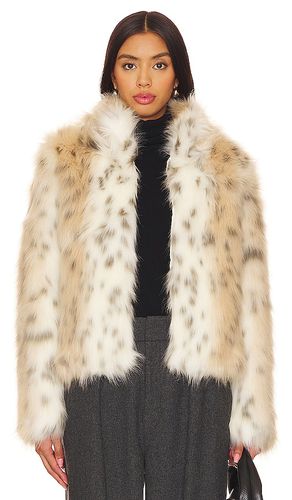 JACKE WILD DREAM in . Size M, S, XL, XS - Unreal Fur - Modalova