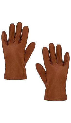 KLASSISCHE KURZE HANDSCHUHE AUS NAPPALEDER in . Size M, S, XL - Vince - Modalova