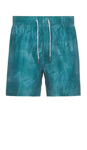 Ponji Swim Volleys Short in . Size L, S, XXL/2X - Vintage Summer - Modalova