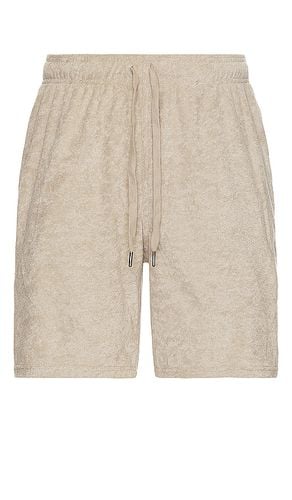 Towel Terry Short in . Taglia XXL/2X - WAO - Modalova