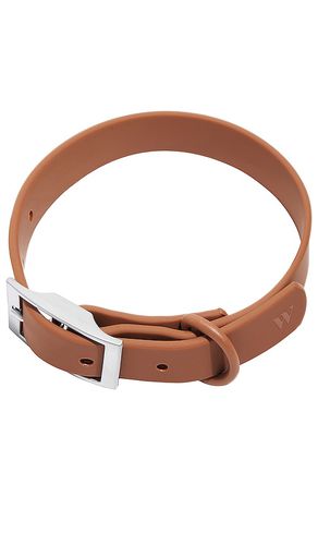 Wild One Collar in Brown - Wild One - Modalova