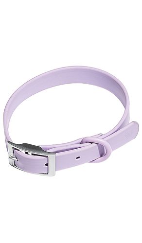 Correa de perro dog collar en color lavanda talla S en - Lavender. Talla S (también en ) - Wild One - Modalova
