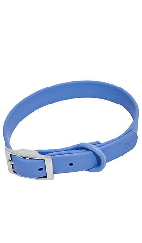 Correa de perro dog collar en color azul talla S en - Blue. Talla S (también en ) - Wild One - Modalova