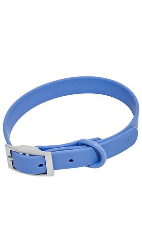 Correa de perro dog collar en color azul talla all en - Blue. Talla all - Wild One - Modalova
