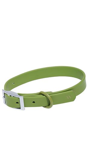 Cuello dog collar en color verde oliva talla S en - Olive. Talla S (también en ) - Wild One - Modalova