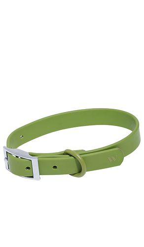 Cuello dog collar en color verde oliva talla all en - Olive. Talla all - Wild One - Modalova