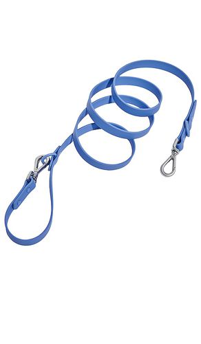 Wild One Leash in Blue - Wild One - Modalova