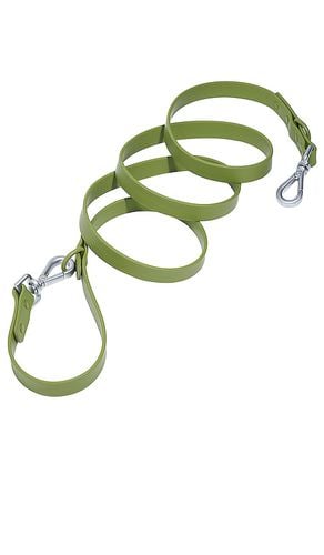 LEINE LEASH in - Wild One - Modalova