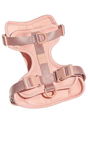 Wild One Harness in Blush - Wild One - Modalova