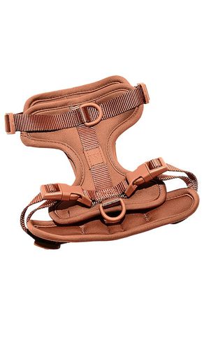 RIEMEN MEDIUM HARNESS in - Wild One - Modalova