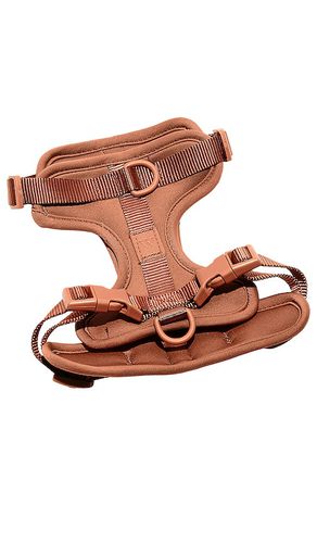 Arnés medium harness en color marrón talla M en - Brown. Talla M (también en ) - Wild One - Modalova