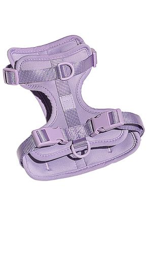Arnés small harness en color lavanda talla S en - Lavender. Talla S (también en ) - Wild One - Modalova
