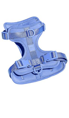 Arnés small harness en color azul talla S en - Blue. Talla S (también en ) - Wild One - Modalova