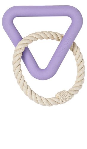 Juguete para perros triangle tug toy en color lavanda talla all en - Lavender. Talla all - Wild One - Modalova