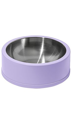 Bol para perro bowl 32 oz en color lavanda talla all en - Lavender. Talla all - Wild One - Modalova