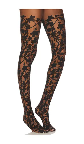 Graphic Flower Tights in . Size S, XS - Wolford - Modalova