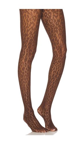 Leo Lace Tights in . Size M, S, XS - Wolford - Modalova