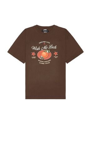 X REVOLVE Orange Luck T-Shirt in . Taglia M, S, XL/1X - Wish Me Luck - Modalova