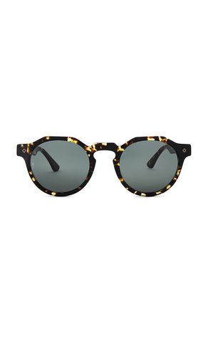 Fontana Sunglasses in - Wonderland - Modalova