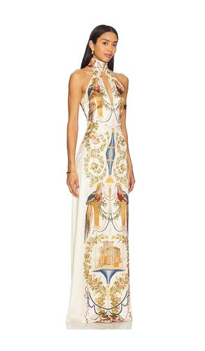 Celeste Dress in . Taglia S. Also in M, L - Yellow The Label - Modalova