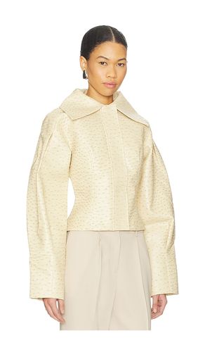 Olsen Ostrich Jacket in . Size S. Also in XS, M - Yellow The Label - Modalova