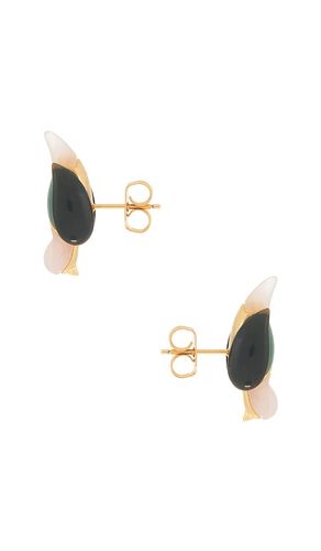 Plume Stud Earrings in - Zimmermann - Modalova