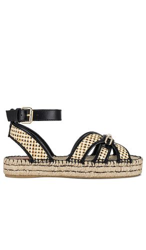 Prisma Platform Sandal in . Size 38, 41 - Zimmermann - Modalova