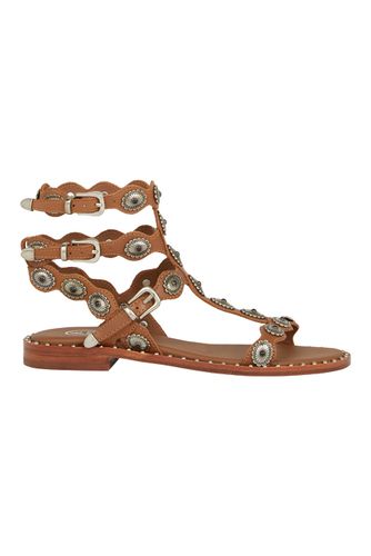 Phoenix Brown Sandals size 37 - ASH - Modalova