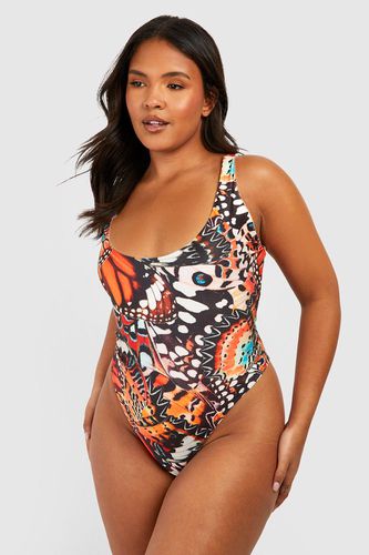Womens Plus Butterfly Print Scoop Swimsuit - - 26 - boohoo - Modalova