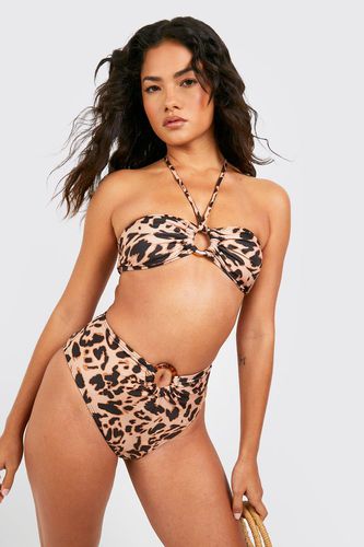 Womens Leopard Tortoise Ring High Waist Bikini Brief - - 10 - boohoo - Modalova