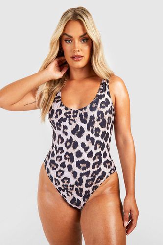 Womens Plus Leopard Print Scoop Neck Swimsuit - - 18 - boohoo - Modalova