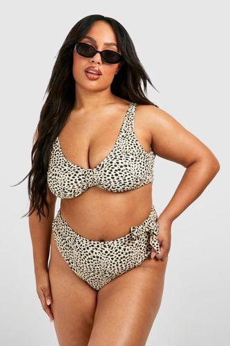 Womens Plus Leopard Knot Tie Bikini Top - - 22 - boohoo - Modalova