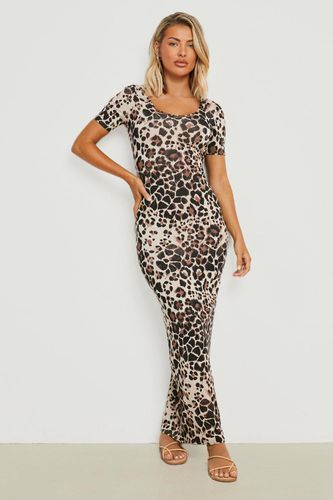 Womens Leopard Scoop Neck Short Sleeve Maxi Dress - - 10 - boohoo - Modalova