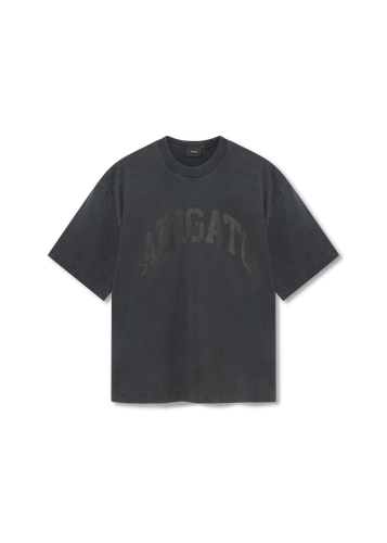 Link Washed T- Shirt - Axel Arigato - Modalova