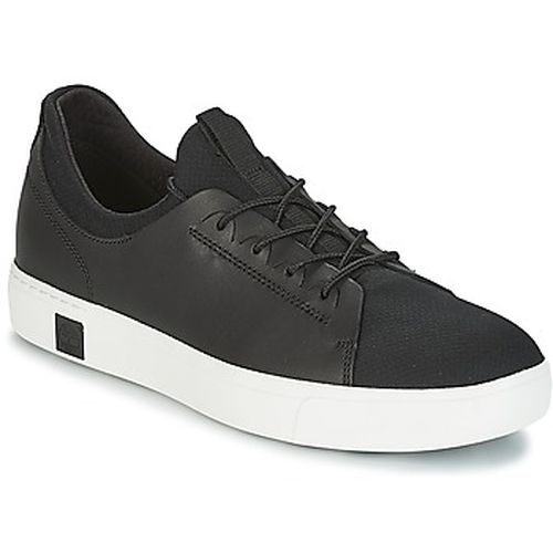 Baskets basses AMHERST LTHR LTT SNEAKER - Timberland - Modalova