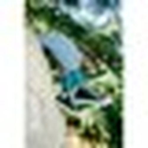 Calzini Naive OXF69C - Naive - Modalova
