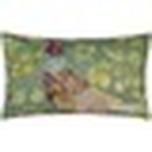Fodere per cuscini 30 cm x 50 cm RV3322 - Evans Lichfield - Modalova