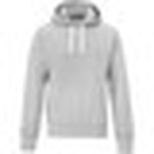 Felpe con cappuccio Awdis JH100 - Awdis - Modalova