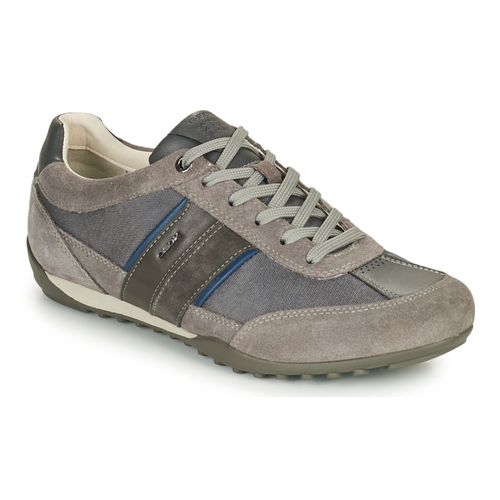 Sneakers Geox U WELLS C - Geox - Modalova